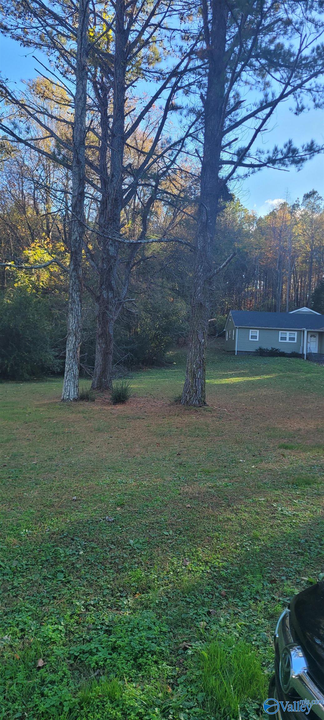 Stewart Stewart Road, Toney, Alabama image 1