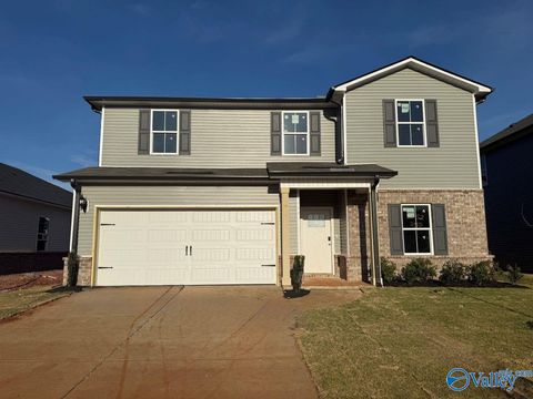 29556 Satilla Circle Madison AL 36756