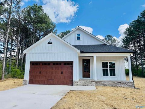 50 Shady Lane Geraldine AL 35974
