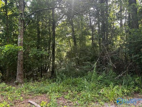 Vacant Land For Sale - 6.7 Leslie Willis Road<br/> Somerville, AL 35670