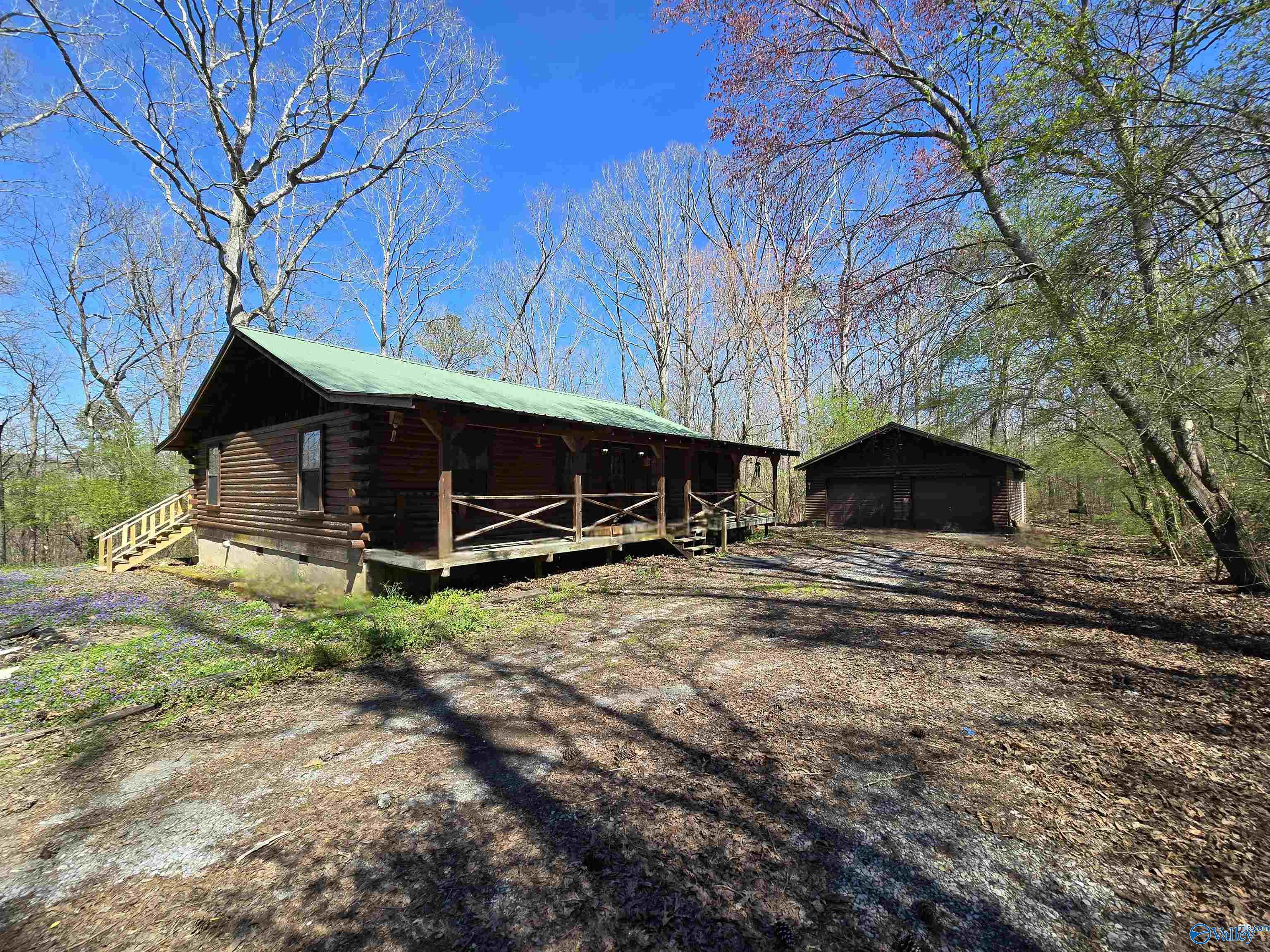 1029 Jolley Drive, Horton, Alabama image 1