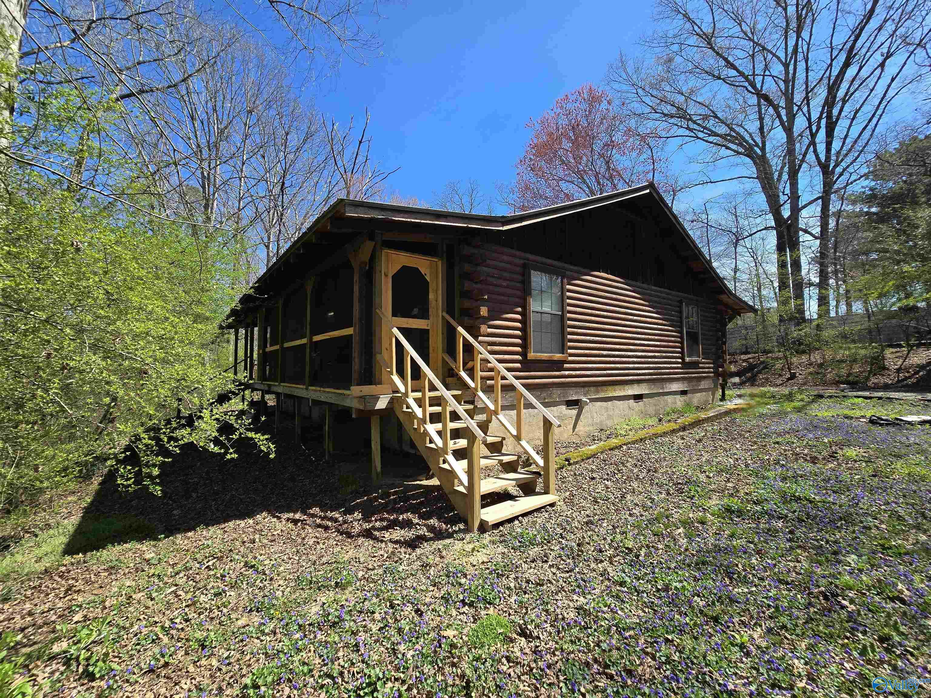 1029 Jolley Drive, Horton, Alabama image 2