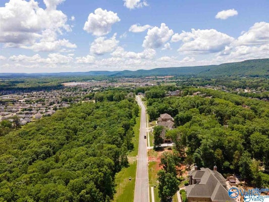 7037 RIDGE CREST RD, OWENS CROSS ROADS, AL 35763 - Image c0a8e3a5f823e5e3fbd12bf44097187a/442301046