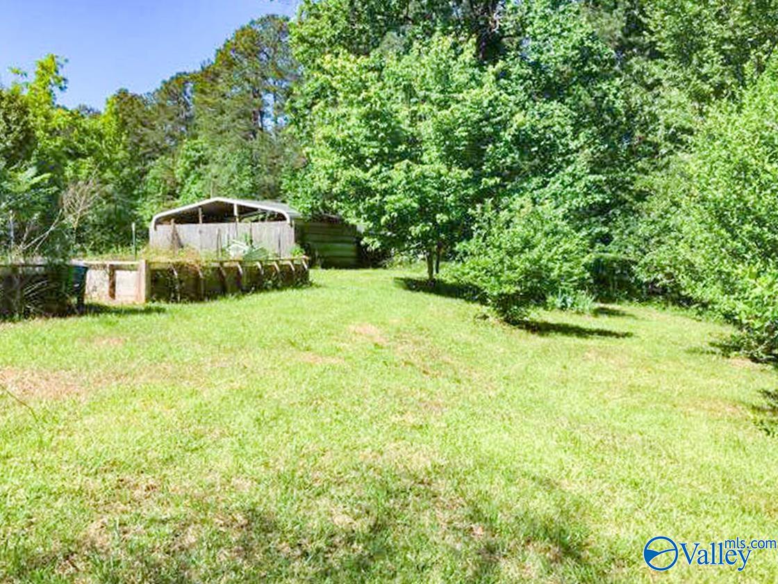 464 Section Mountain Road, Somerville, Alabama image 15