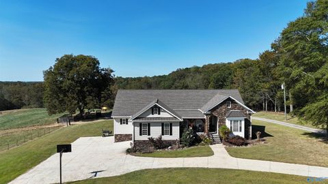 121 Sumners Road Horton AL 35980