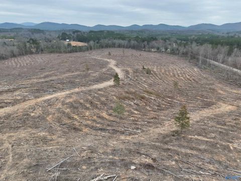 Vacant Land For Sale - 80 AC County Road 75<br/> Cedar Bluff, AL 35959