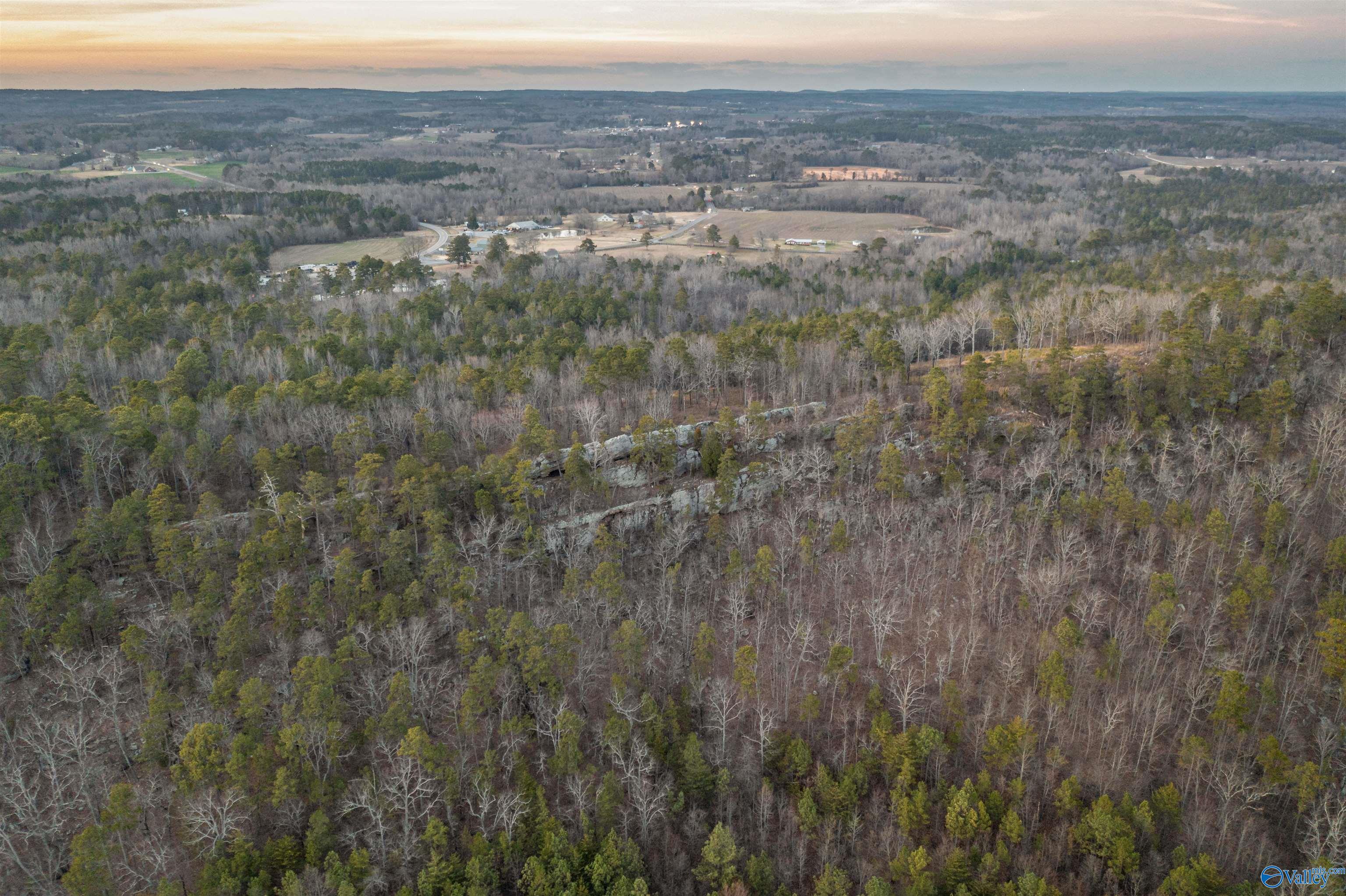 LOT 81 Mauney Lane, Leesburg, Alabama image 8