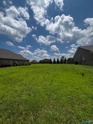 11 VILLAGE LN, BOAZ, AL 35956 - Image c0c7ed338f759c61bdcd5c0ca6d462d3/4291516577