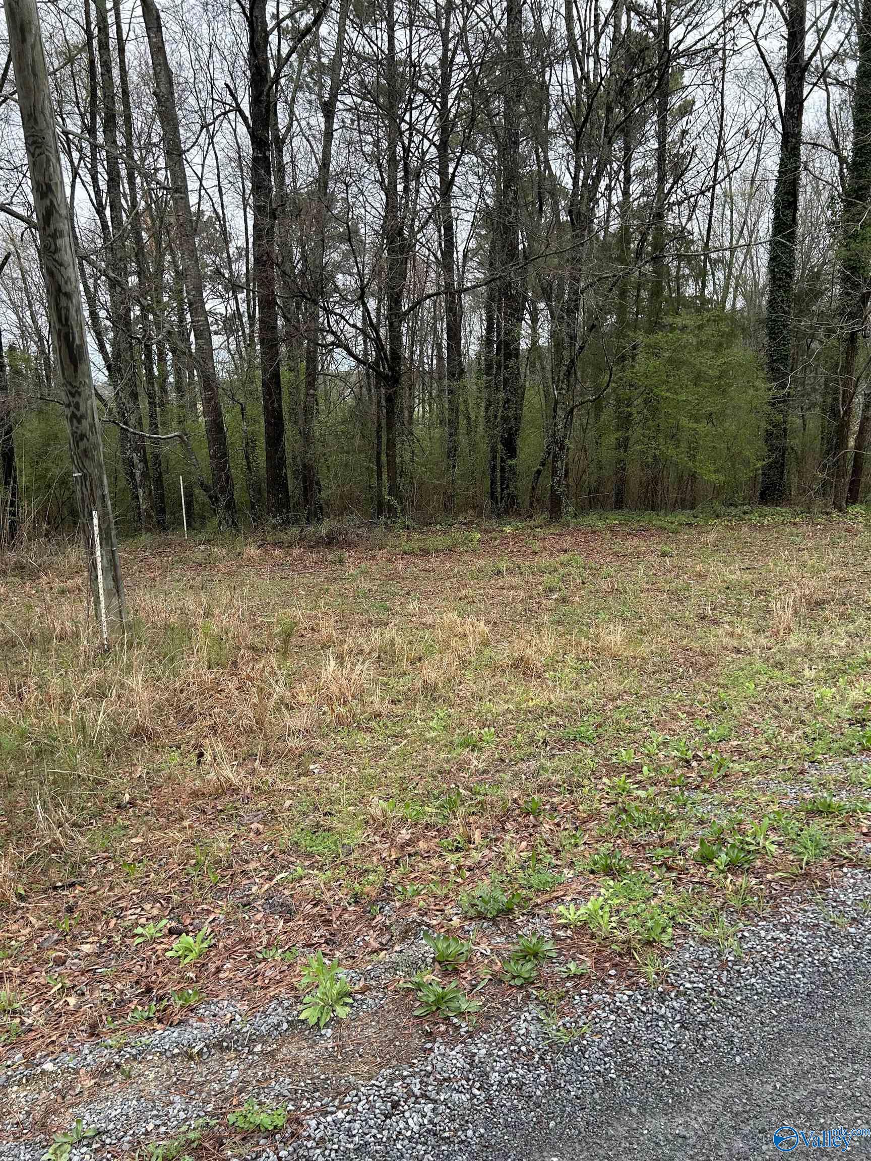 Lot 11 0.91 Ac Dry Creek Road, Cleveland, Alabama image 1