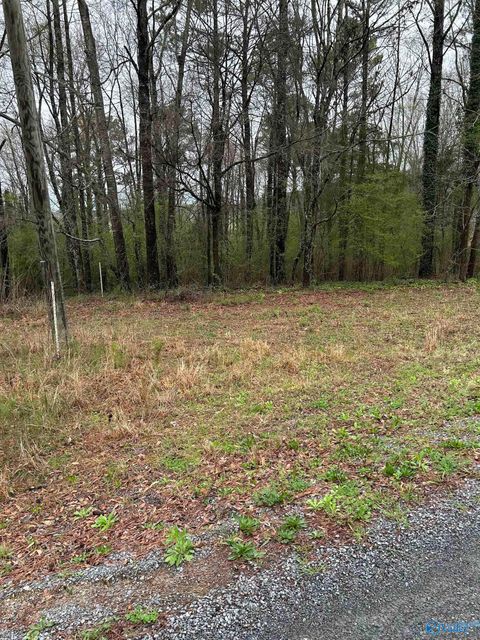 Vacant Land For Sale - LOT 11 0.91 AC Dry Creek Road<br/> Cleveland, AL 35049