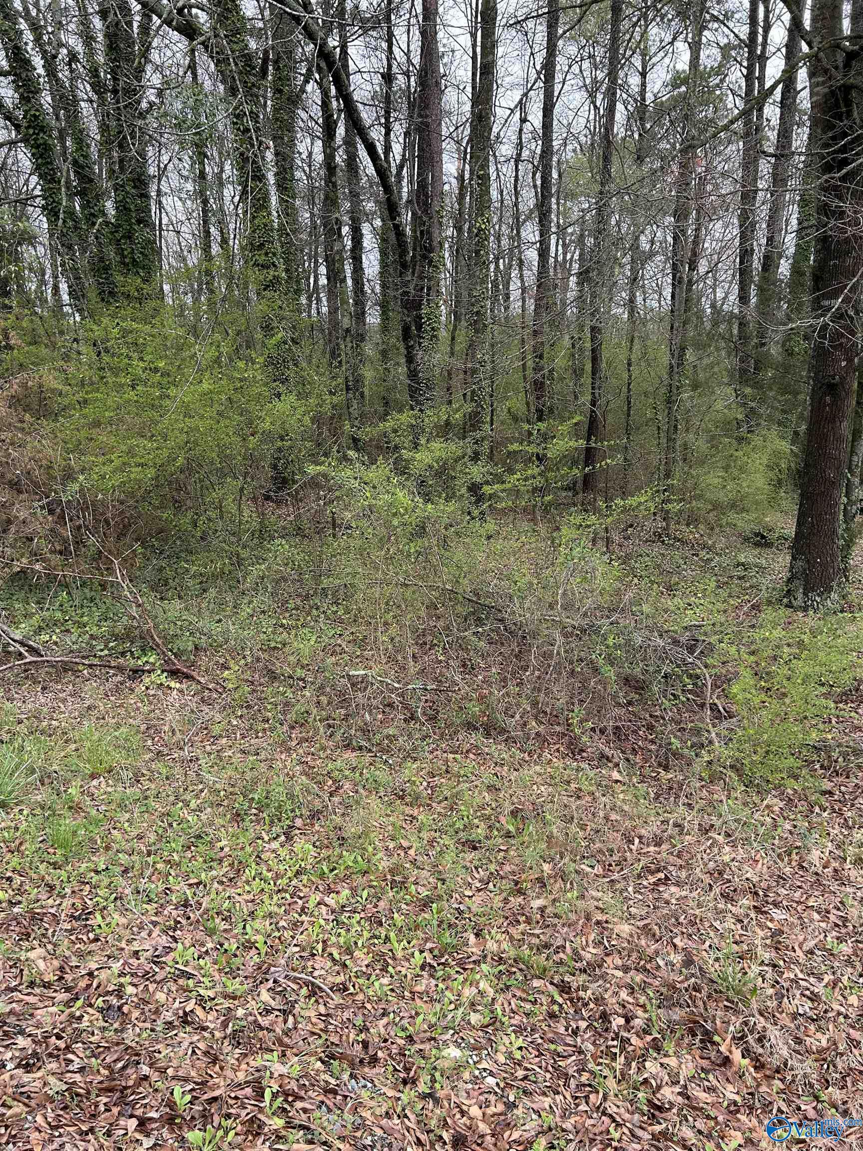 Lot 11 0.91 Ac Dry Creek Road, Cleveland, Alabama image 3