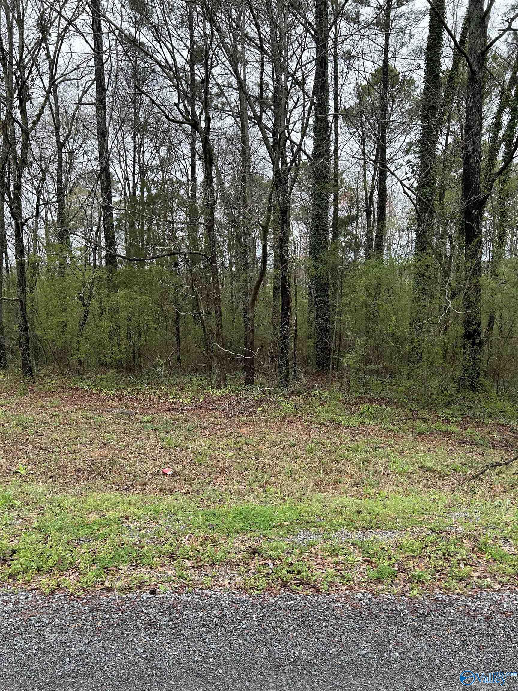 Lot 11 0.91 Ac Dry Creek Road, Cleveland, Alabama image 2