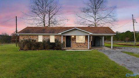 Photo of 154 Turney Road, Somerville, AL 35670 (MLS # 21905161)