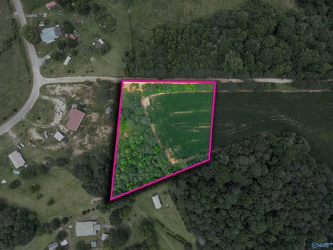 Vacant Land For Sale - 1.52 County Road 350<br/> Cherokee County, Fort Payne, AL 35967