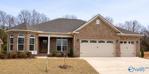 Homes For Sale - 121 Boardhouse Branch<br/> Madison, AL 35756