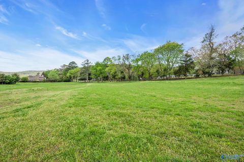 Vacant Land For Sale - 7.71 ACS Old Big Cove Road<br/> Owens Cross Roads, AL 35763