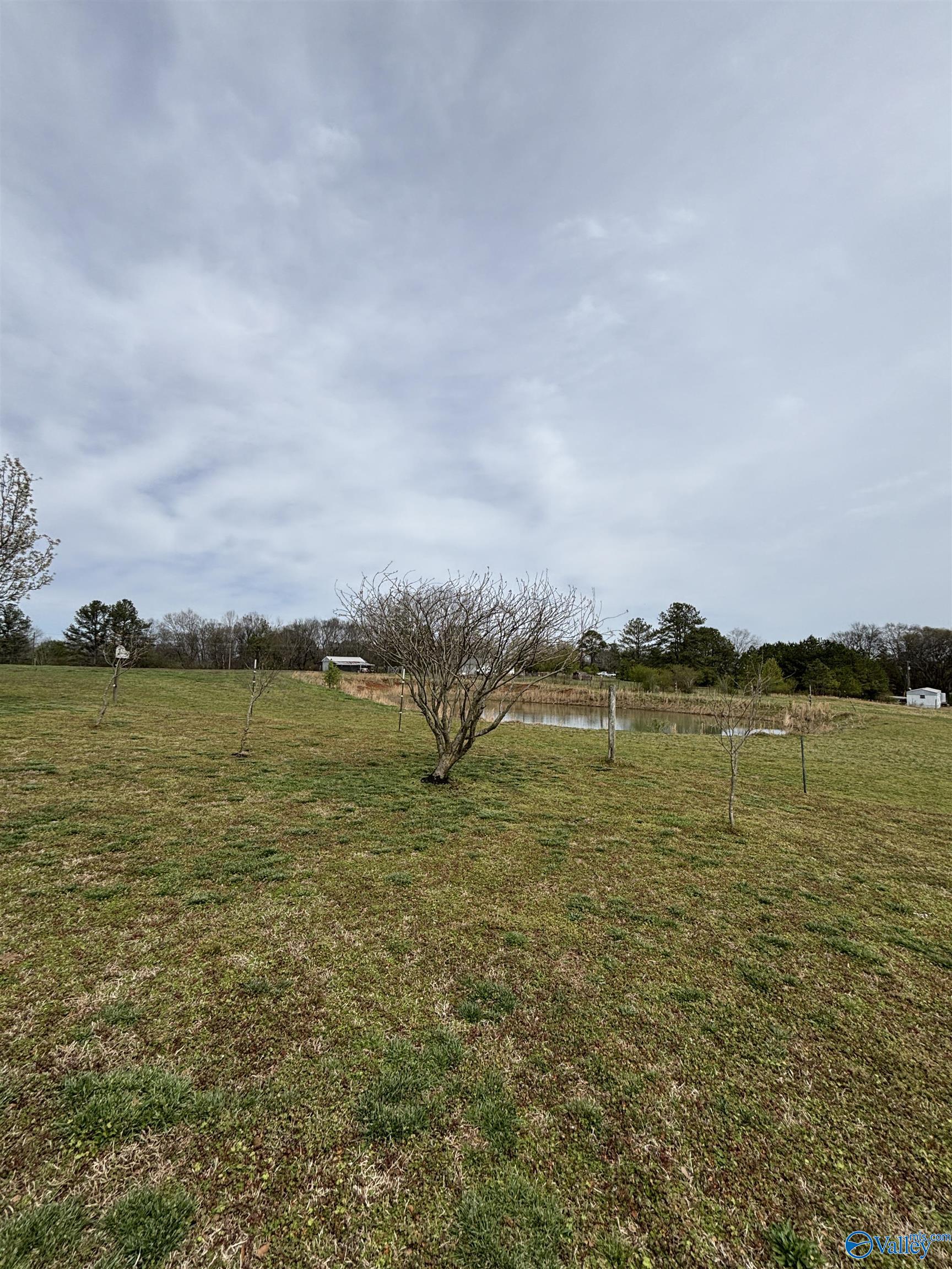 3305 Hustleville Road, Albertville, Alabama image 21