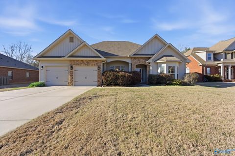 Photo of 14389 NW Water Stream Drive, Harvest, AL 35749 (MLS # 21912849)