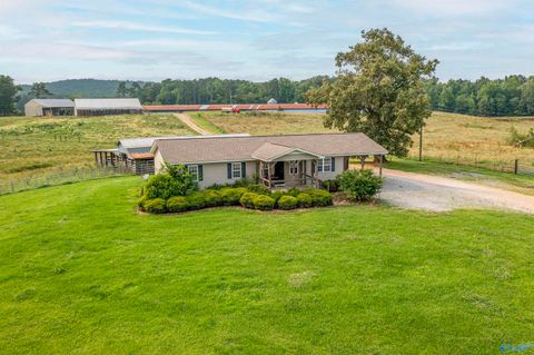 Vacant Land For Sale - 7014 Hwy 132<br/> Etowah County, Altoona, AL 35952