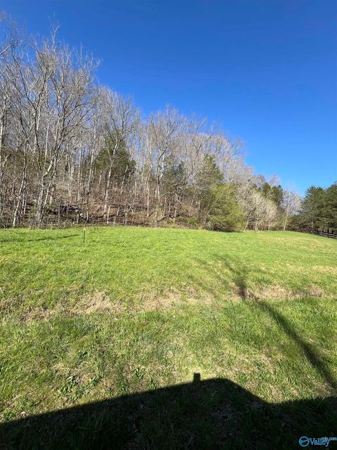 Vacant Land For Sale - TRACT 1 Spring Valley Road<br/> Taft, TN 38488