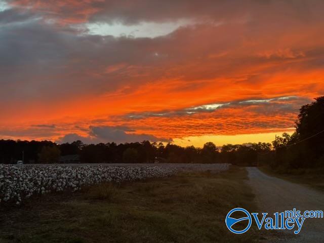 275 County Road 468