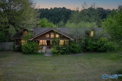 Homes For Sale - 51 County Road 1856<br/> Arab, AL 35016