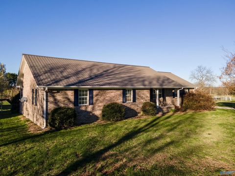 Photo of 3220 County Road 356, Grove Oak, AL 35975 (MLS # 21912617)