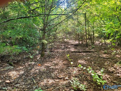 Vacant Land For Sale - 7609 Foxfire Drive<br/> Madison County, Huntsville, AL 35802