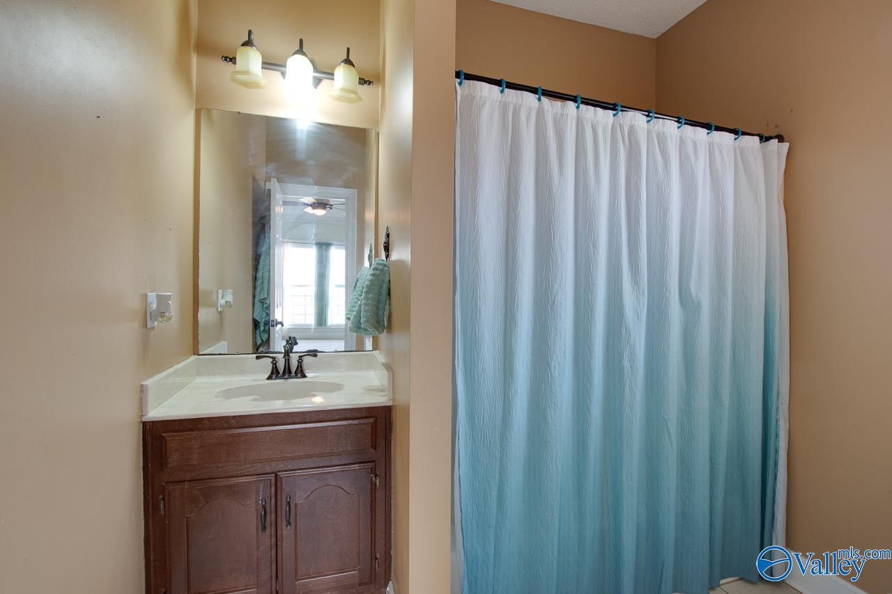 139 Fox Hollow Drive, Madison, Alabama image 24