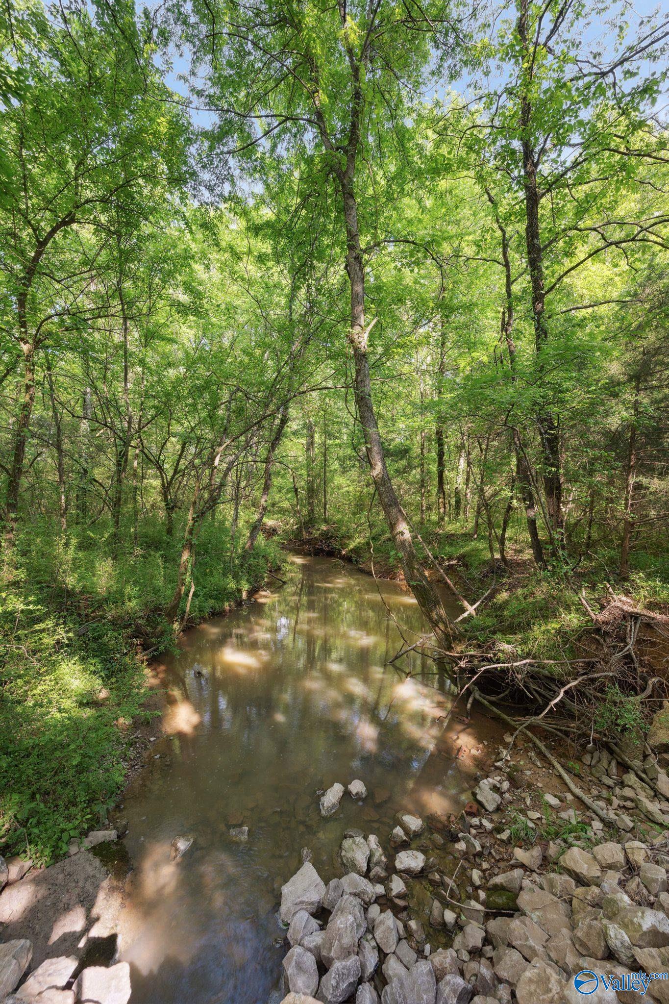 5874 Highway 157, Leighton, Alabama image 10