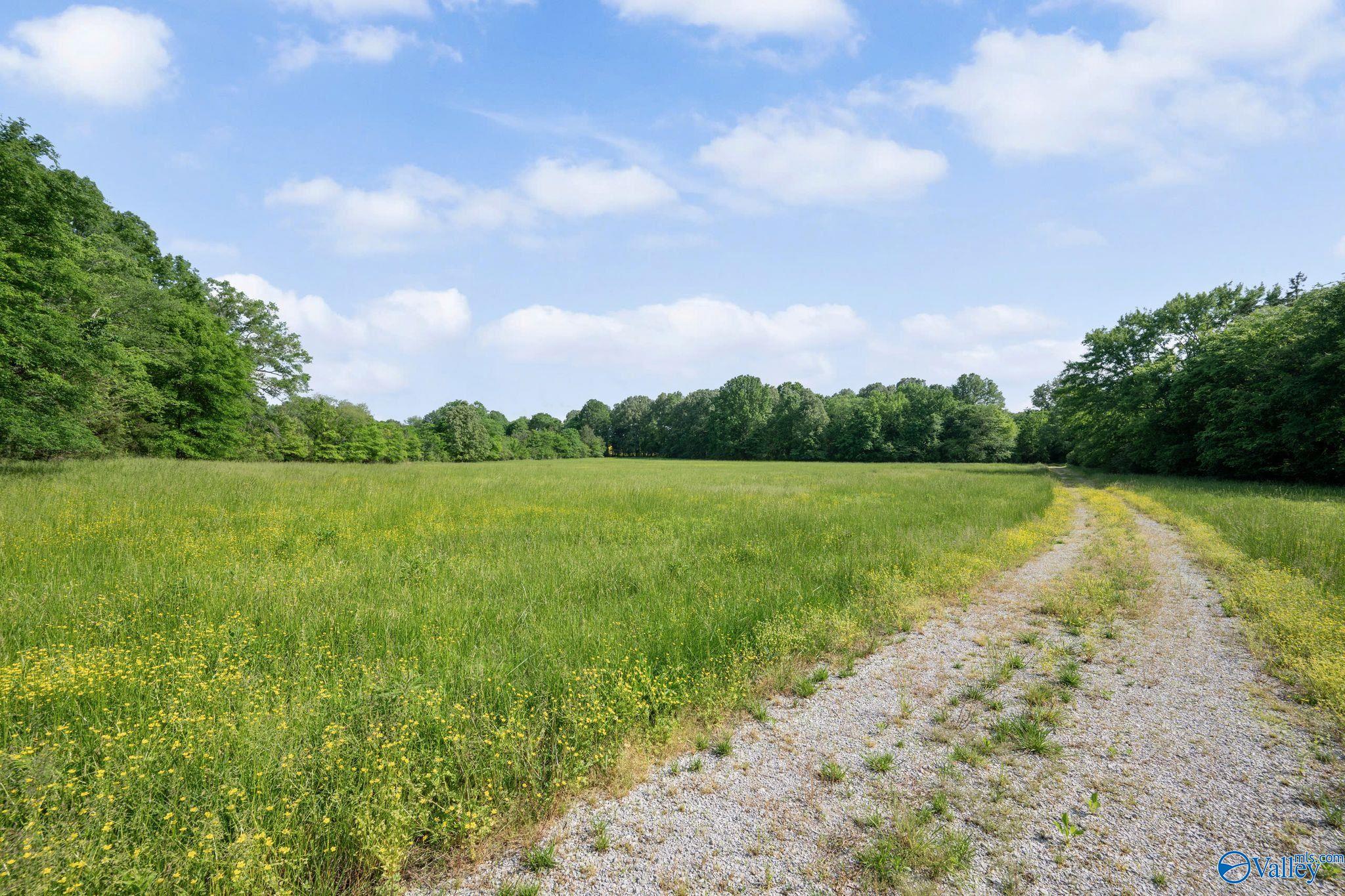 5874 Highway 157, Leighton, Alabama image 7