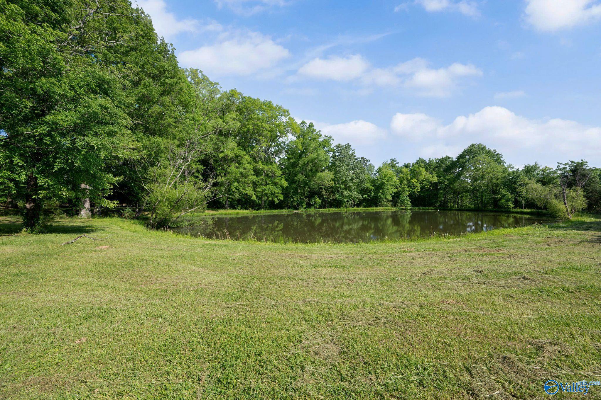 5874 Highway 157, Leighton, Alabama image 6