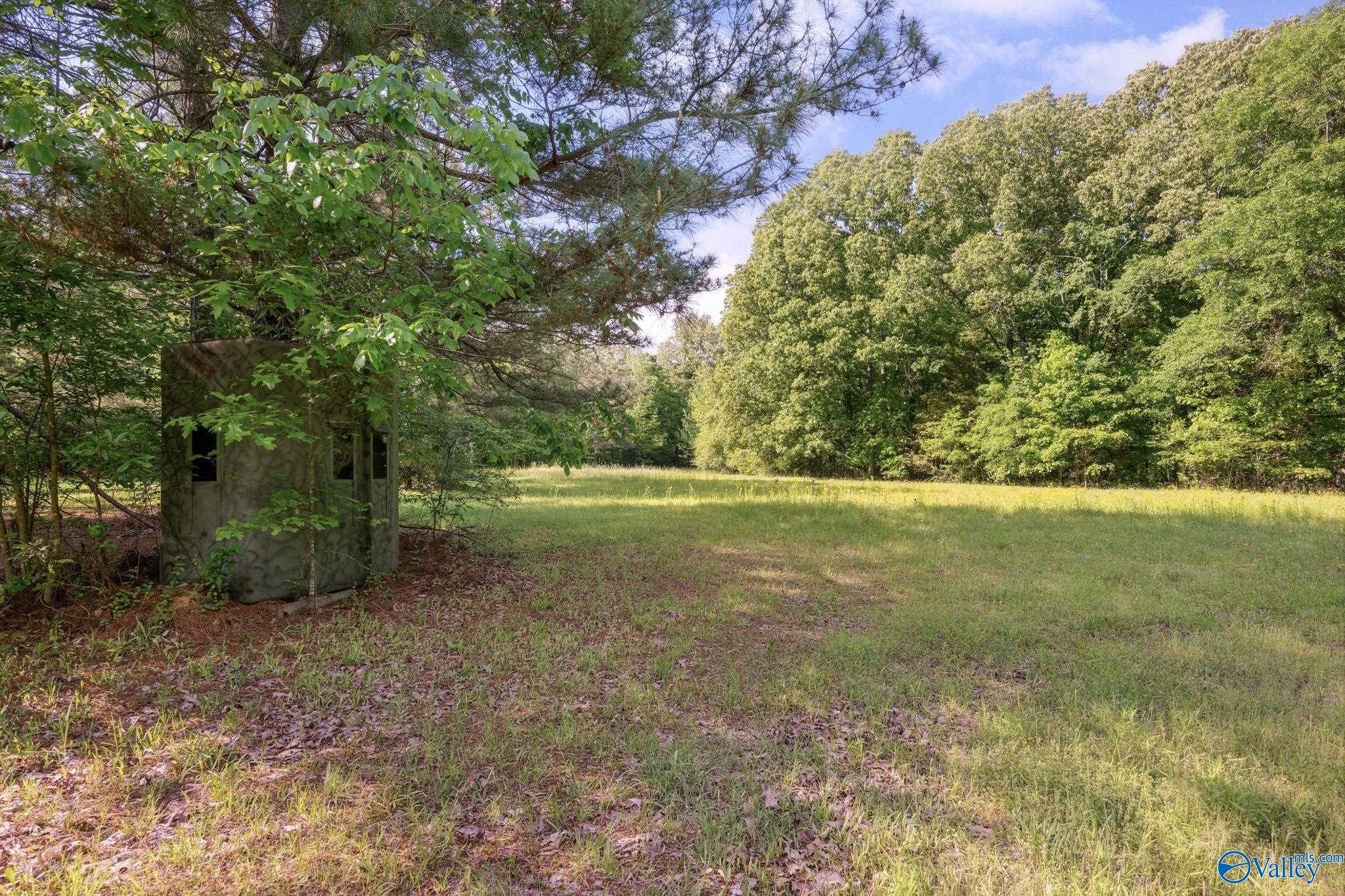5874 Highway 157, Leighton, Alabama image 8