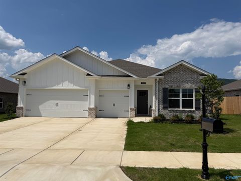 Homes For Sale - 8512 Sophia Nicolle Court<br/> Madison County, Gurley, AL 35748