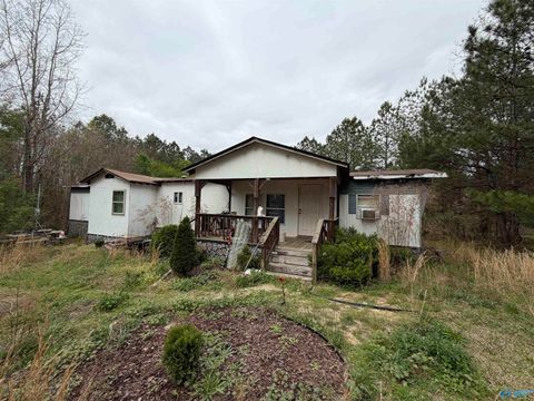 Mobile Home For Sale - 13747 County Road 29<br/> Cherokee County, Centre, AL 35960