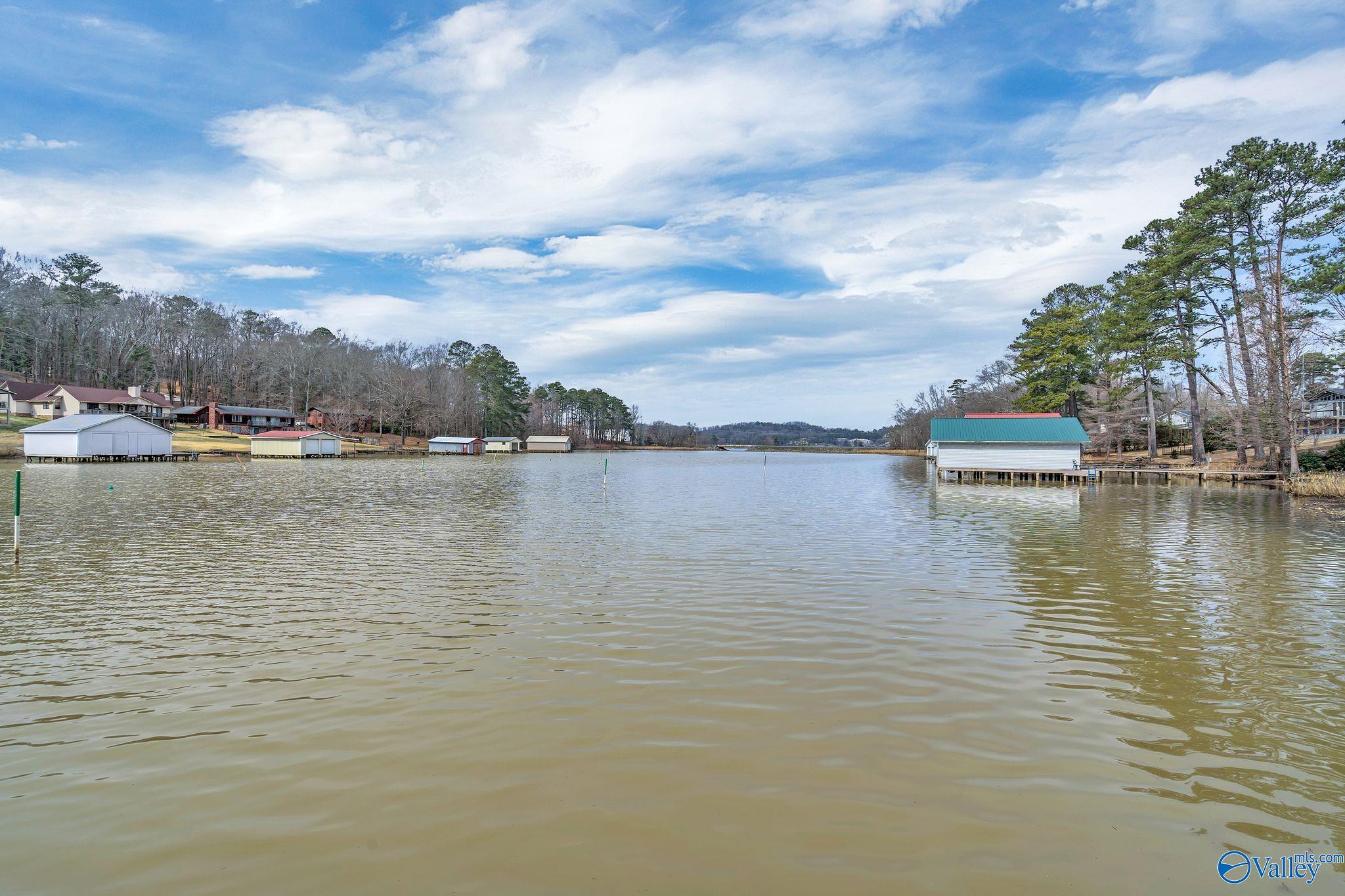 3515 Colonial Drive, Guntersville, Alabama image 43