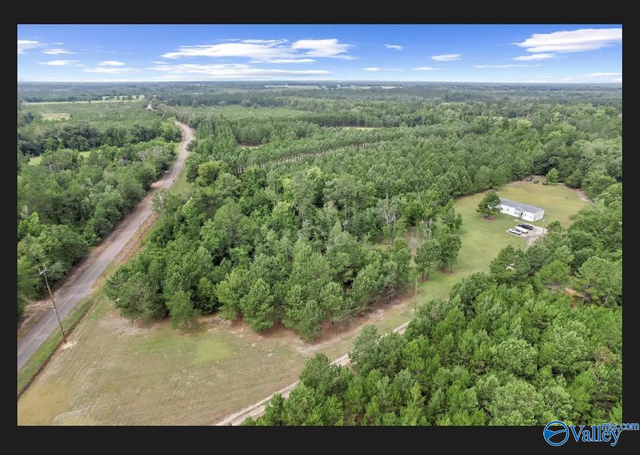 10 Acres S Springhill Road, Gordon, Alabama image 8