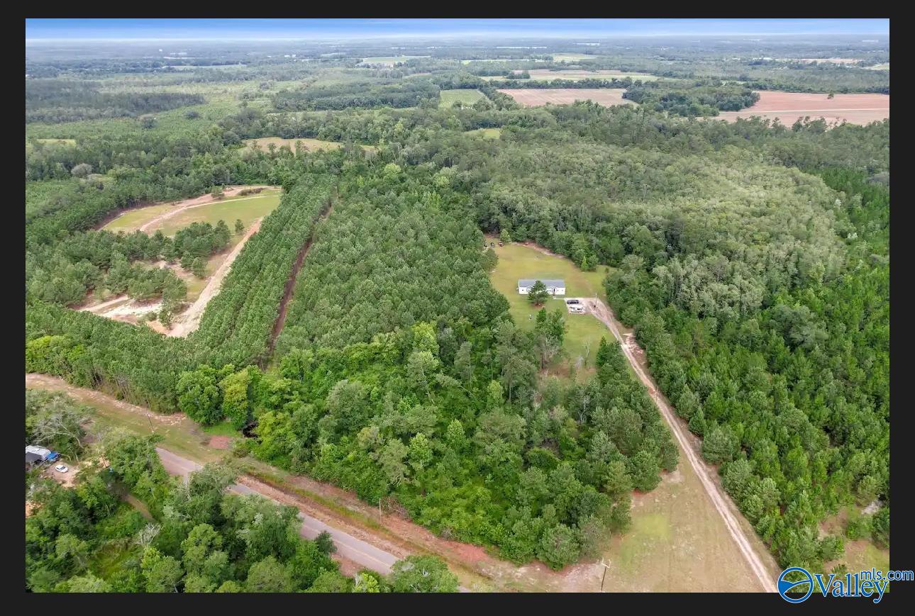 10 Acres S Springhill Road, Gordon, Alabama image 1