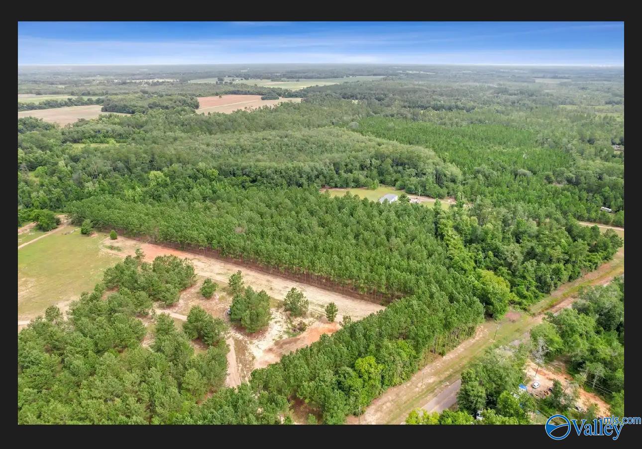 10 Acres S Springhill Road, Gordon, Alabama image 4