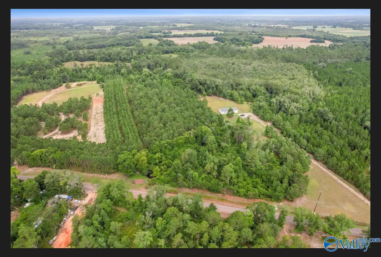 10 Acres S Springhill Road, Gordon, Alabama image 3