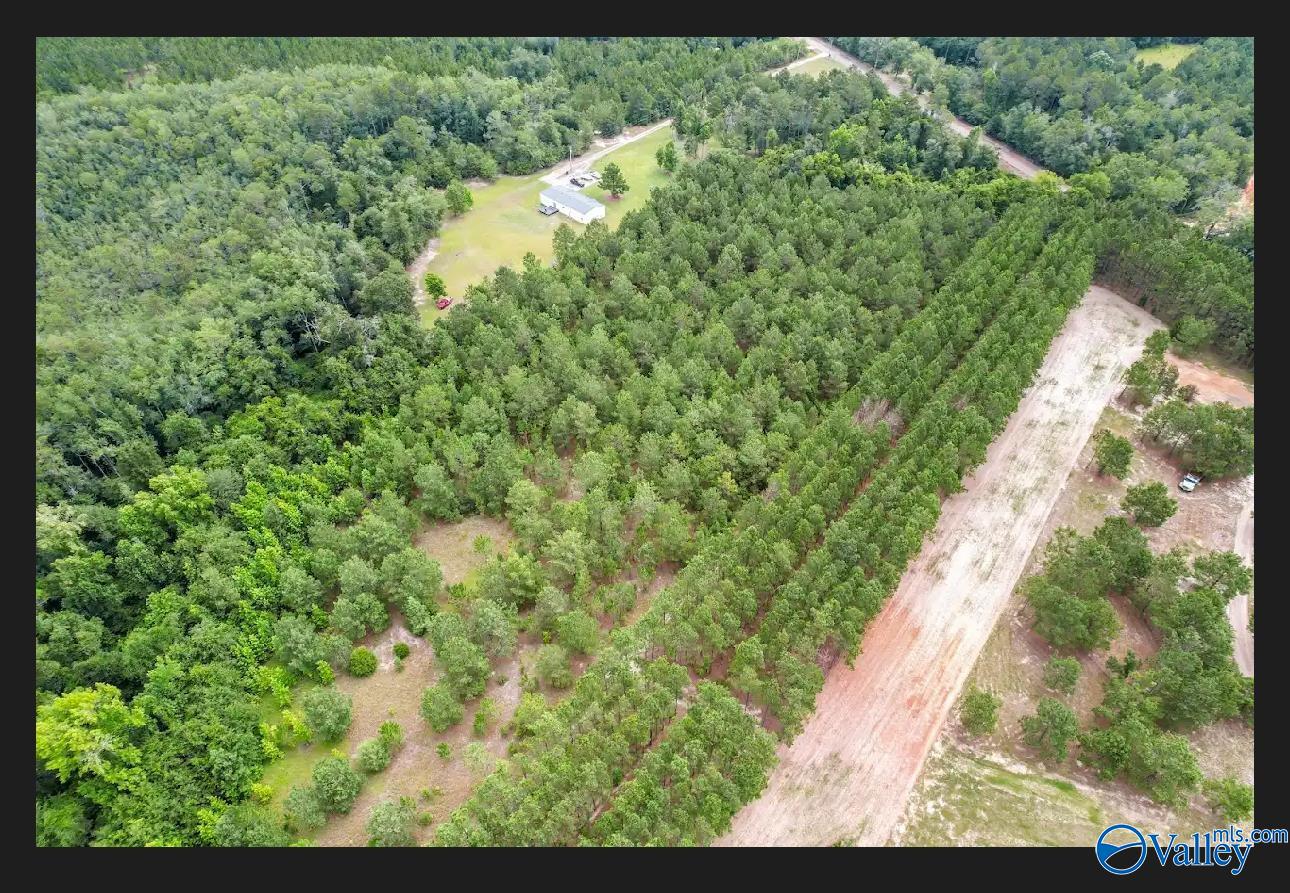 10 Acres S Springhill Road, Gordon, Alabama image 10