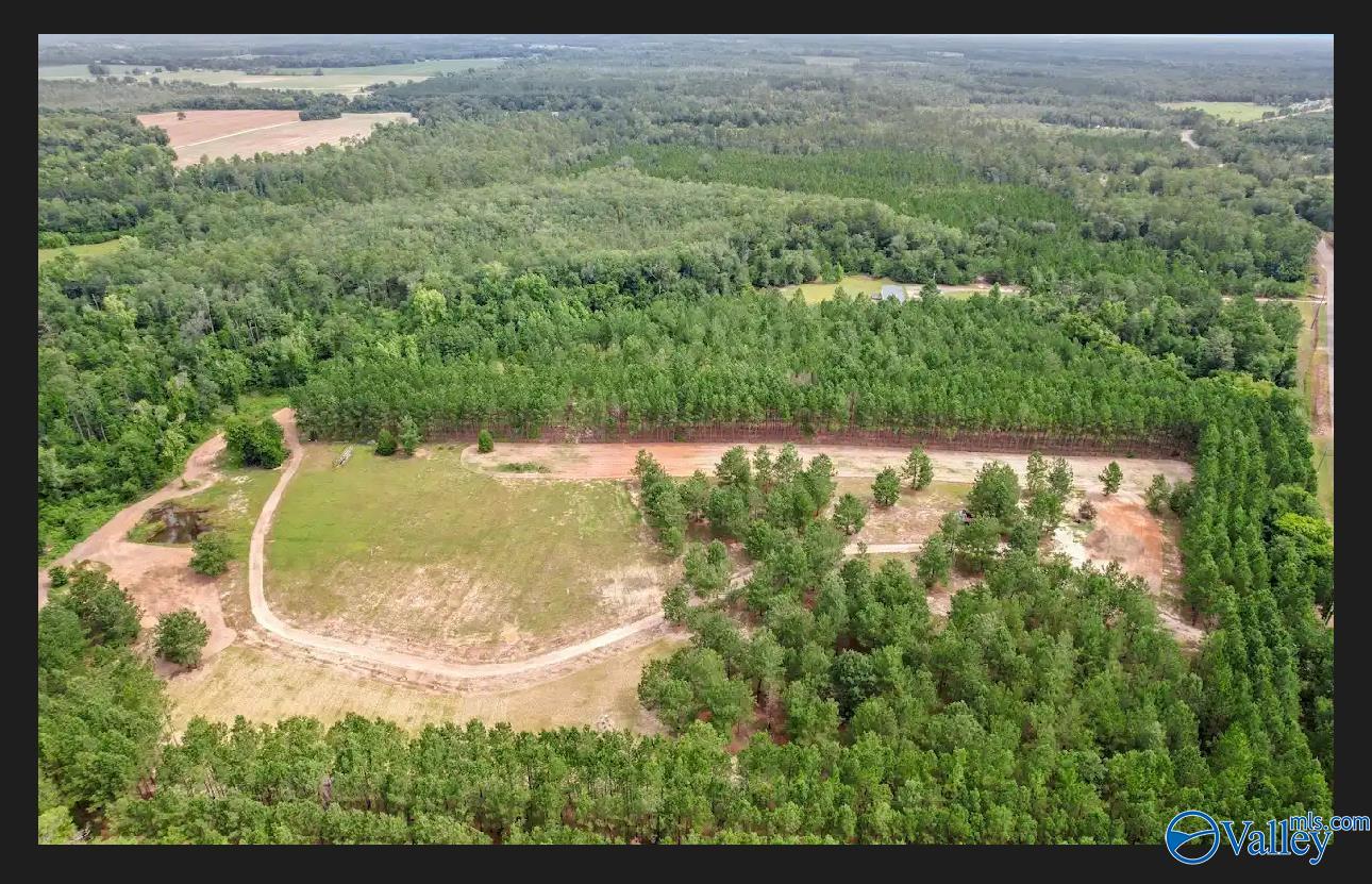 10 Acres S Springhill Road, Gordon, Alabama image 5