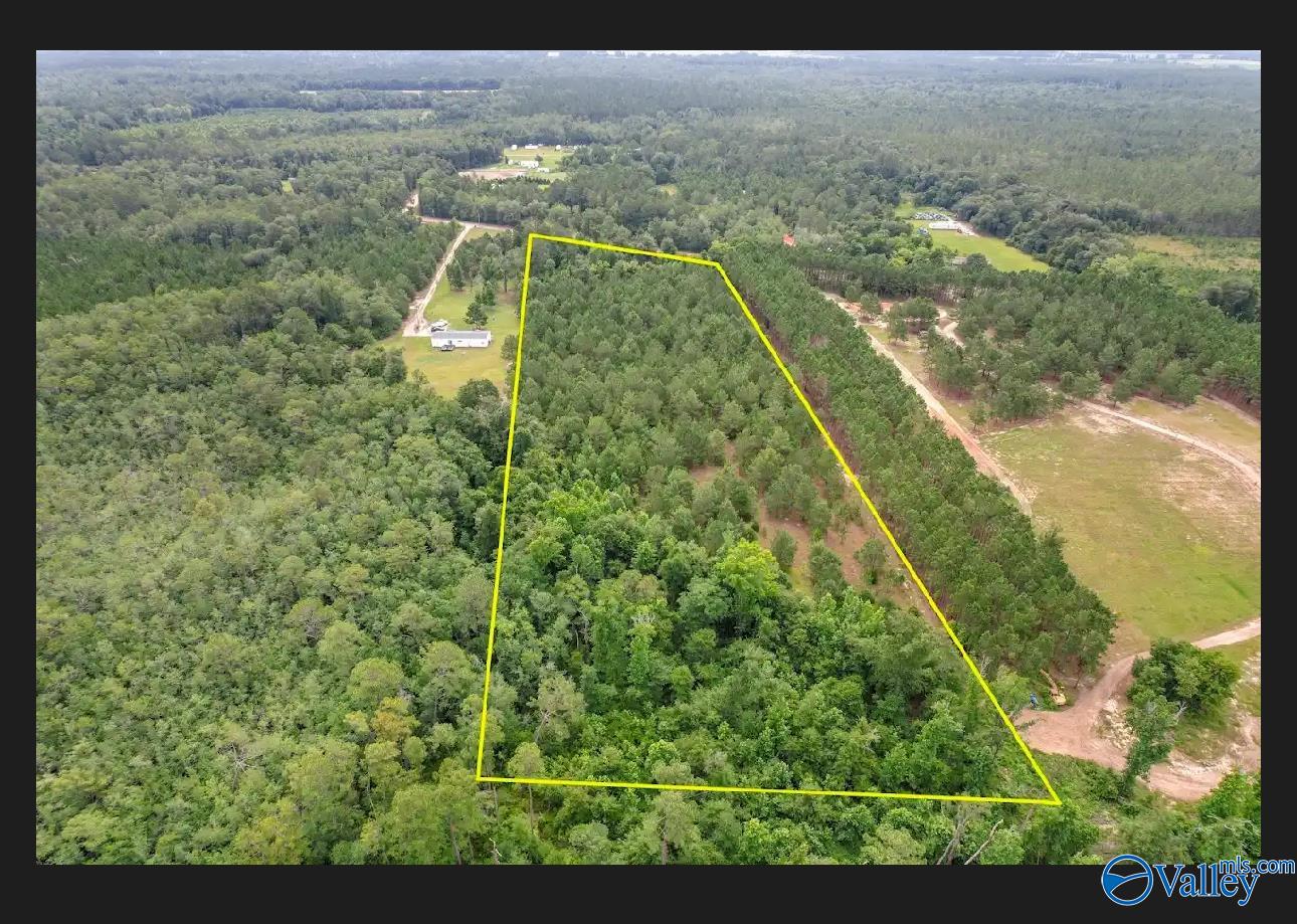 10 Acres S Springhill Road, Gordon, Alabama image 6