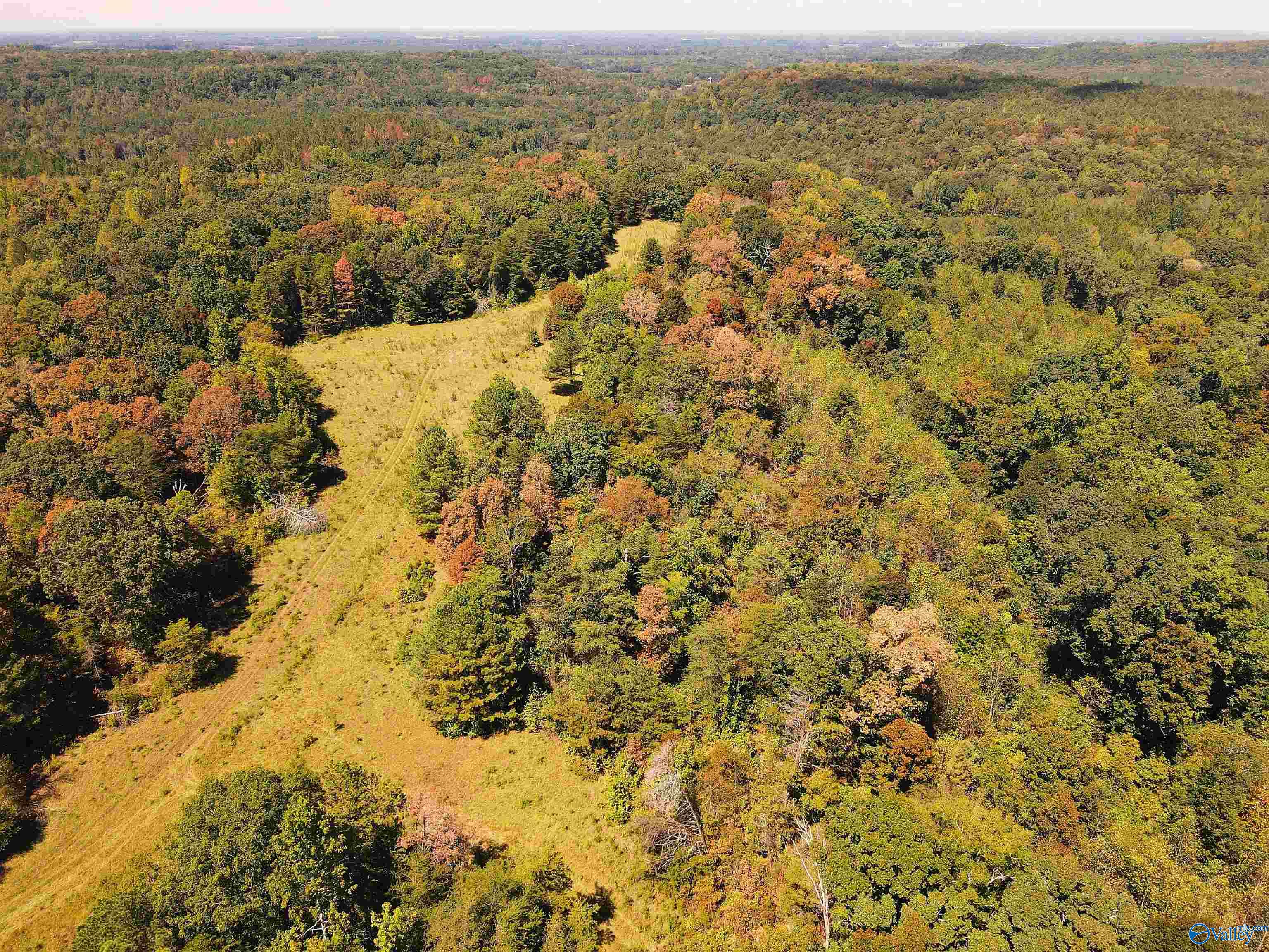 117 Acres County Road 140, Town Creek, Alabama image 7