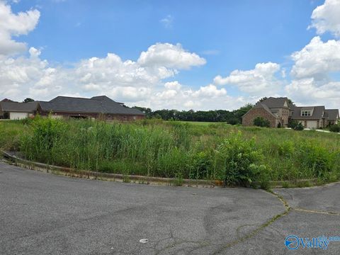 Vacant Land For Sale - LOT 24 Brigadoon Drive<br/> Madison, AL 35757