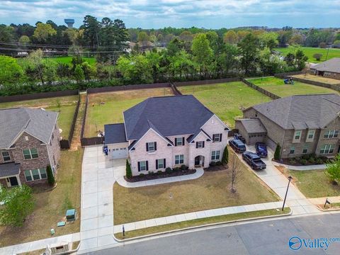 131 Secretariat Place Madison AL 35756