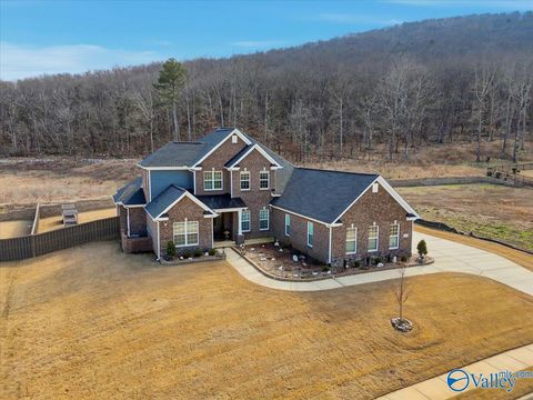 Homes For Sale - 8098 Goose Ridge Drive<br/> Owens Cross Roads, AL 35763