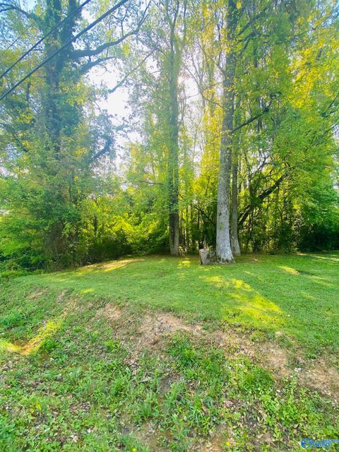 Vacant Land For Sale - .89 Fairview Road<br/> Etowah County, Gadsden, AL 35904