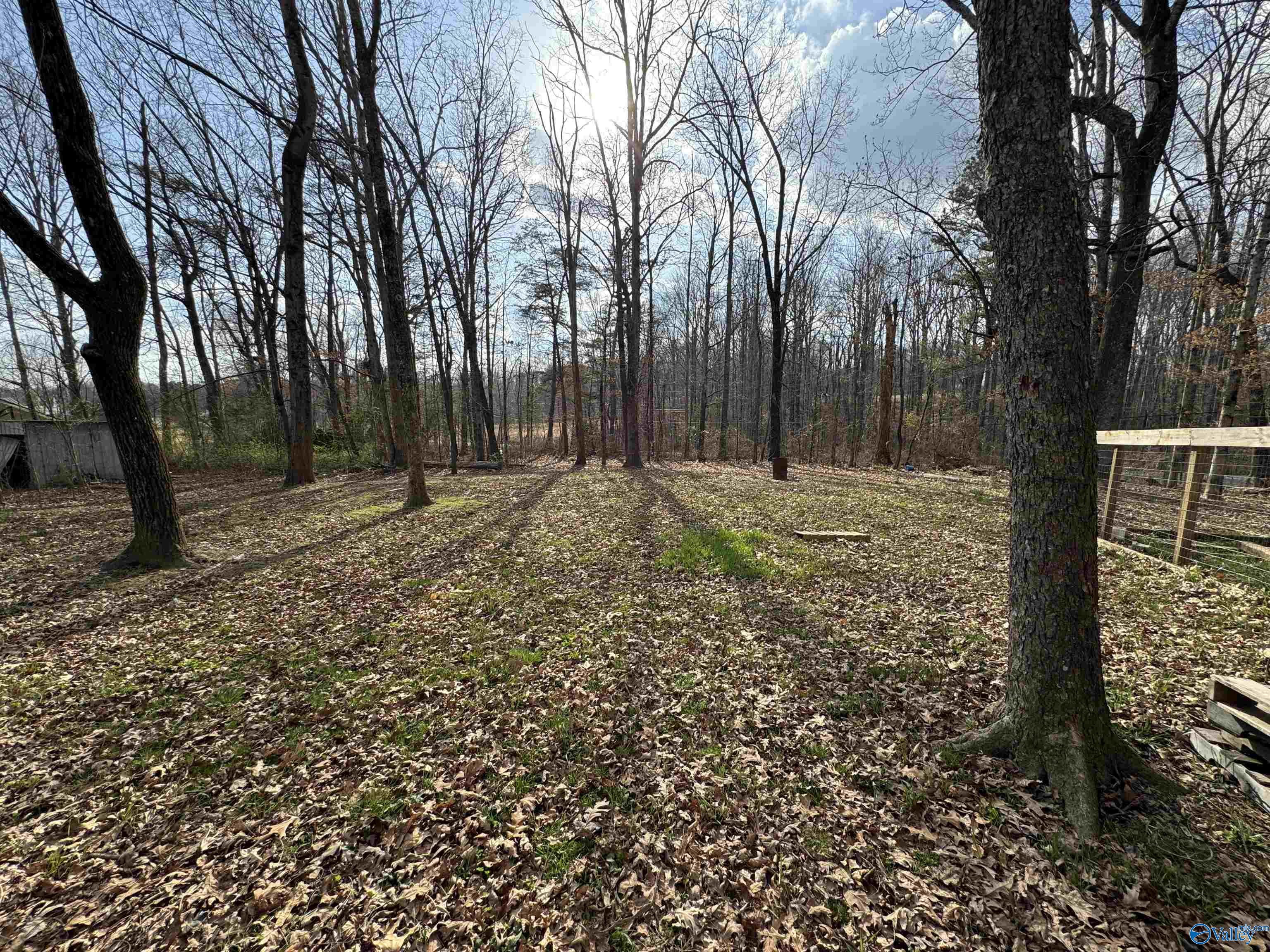 87 Flattop Circle, Scottsboro, Alabama image 6