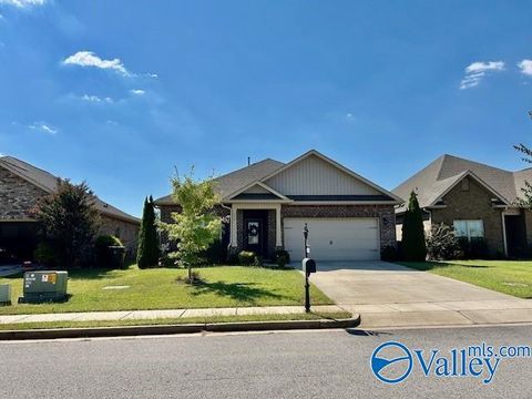Photo of 334 River Rock Drive, Madison, AL 35756 (MLS # 21914155)
